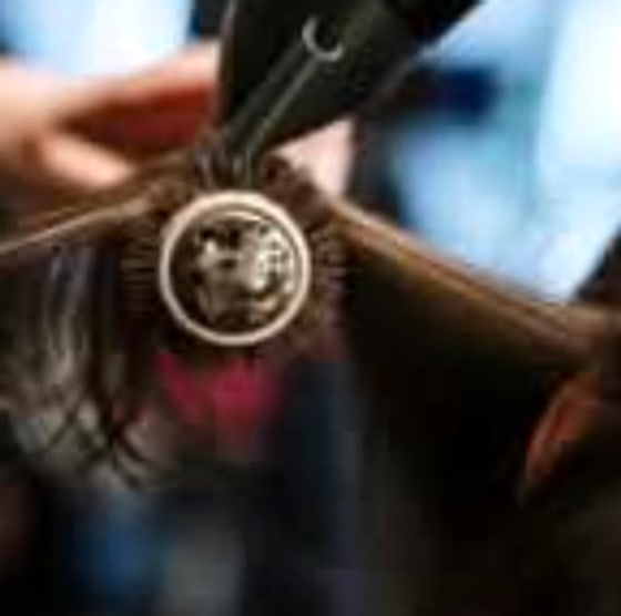 Brushing profesional